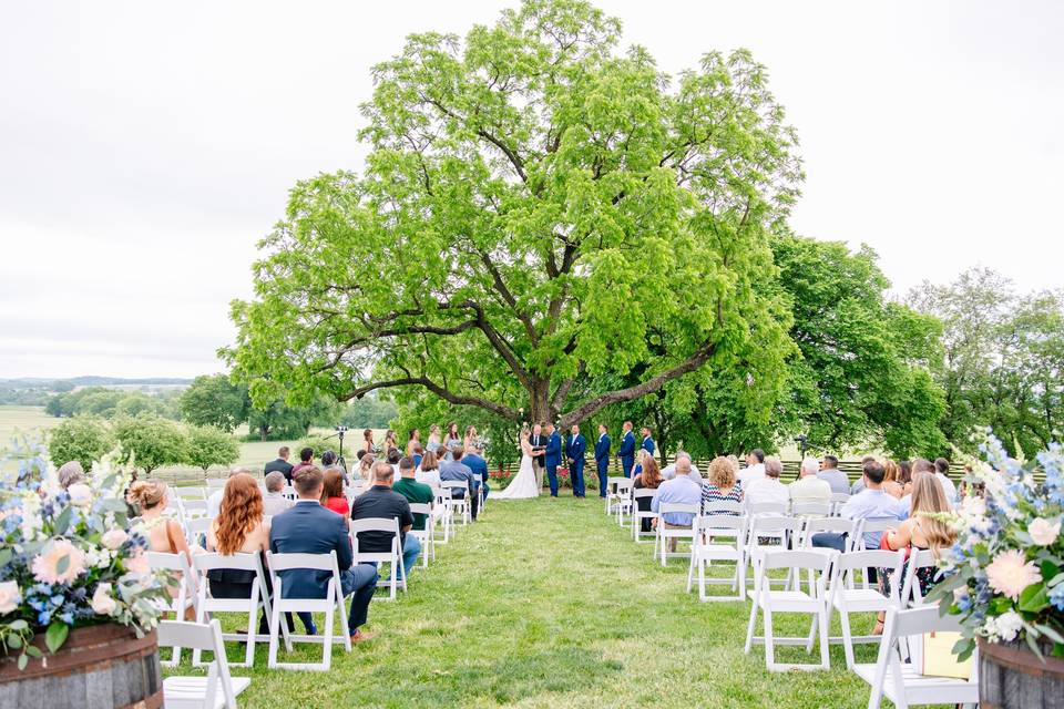 Walker's Overlook Wedding