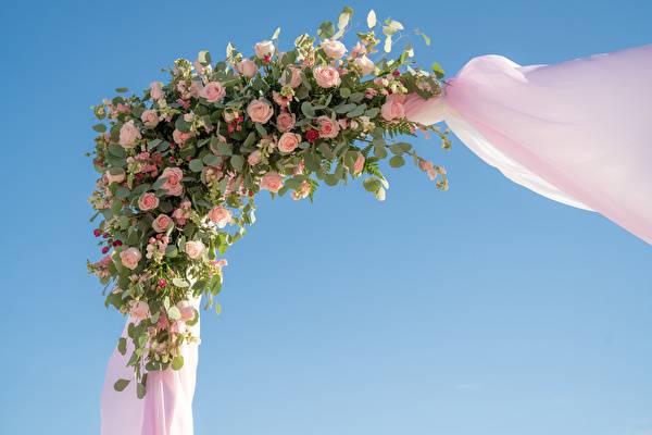 Arch pink