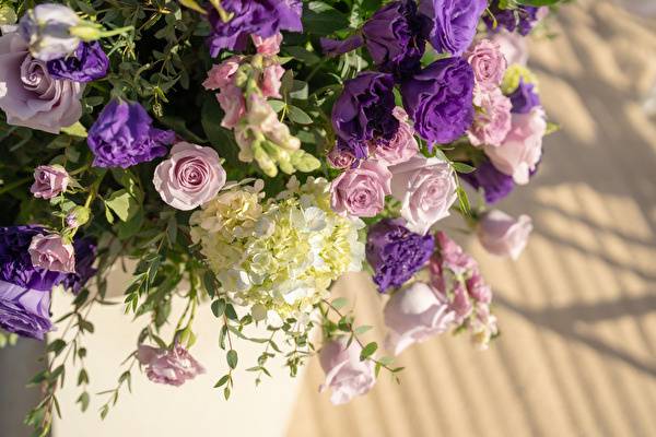 Purple flower