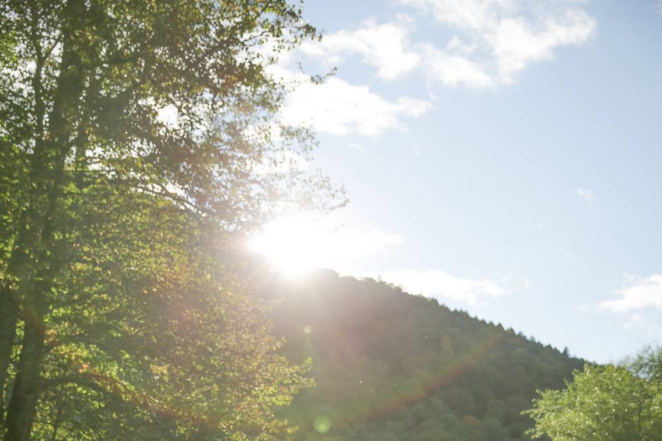 Couple in the sun