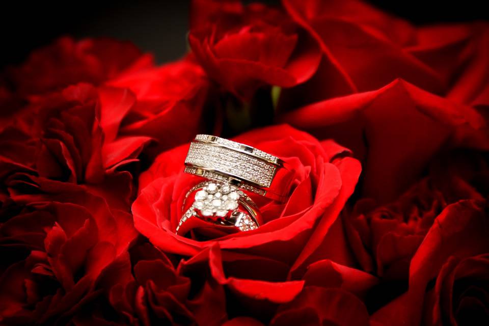 Red roses and rings