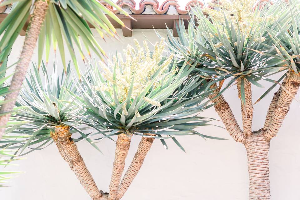 Mallory + Jake  |  San Clemente, CA wedding by Our Story Creative  |  ourstorycreative.com  |  OSC