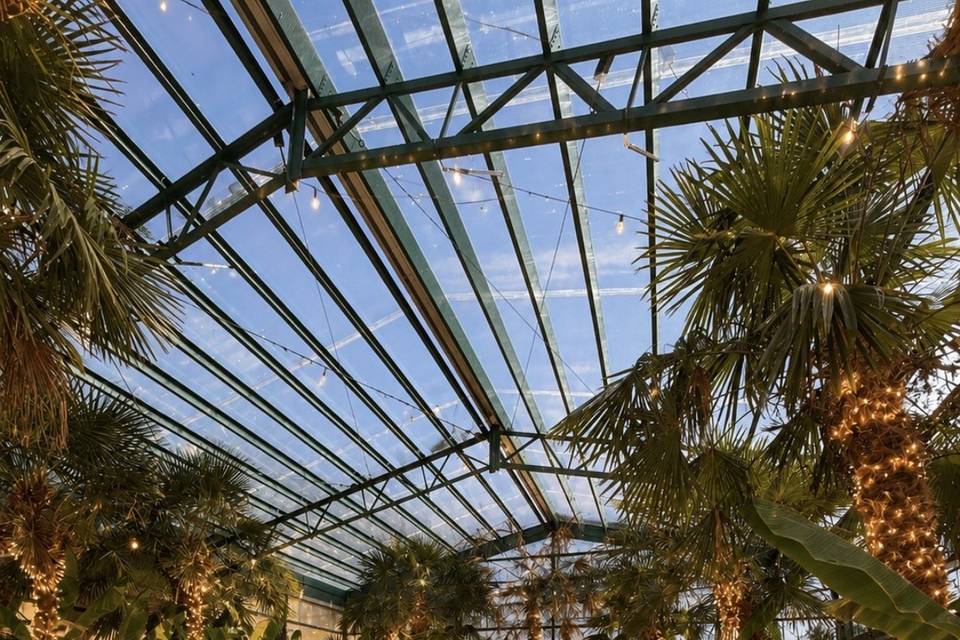 Greenhouse