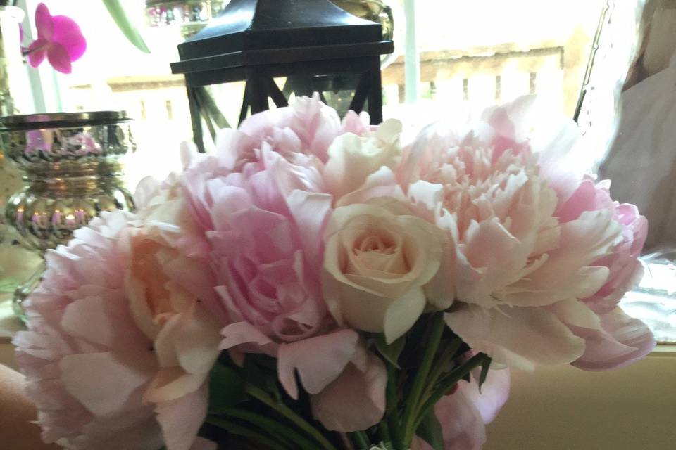Pink and white blooms