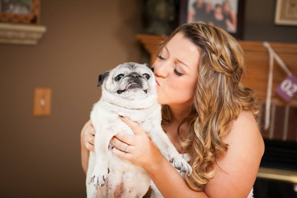 Dog bride kisses