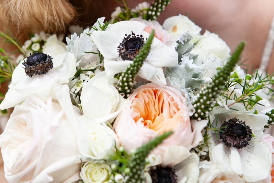 Closeup flowers
