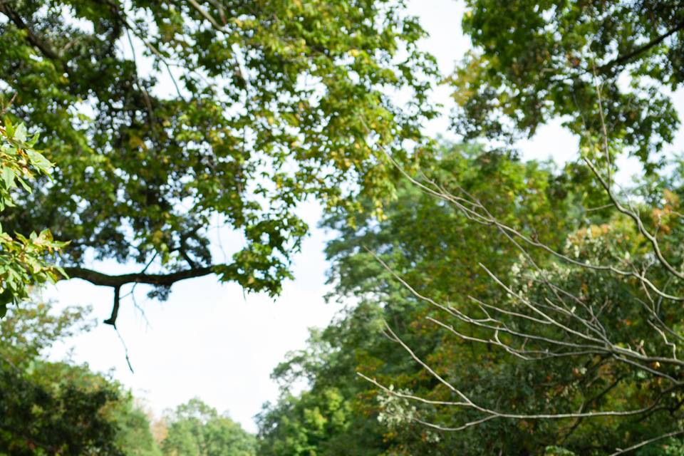 Bride & groom on bridge