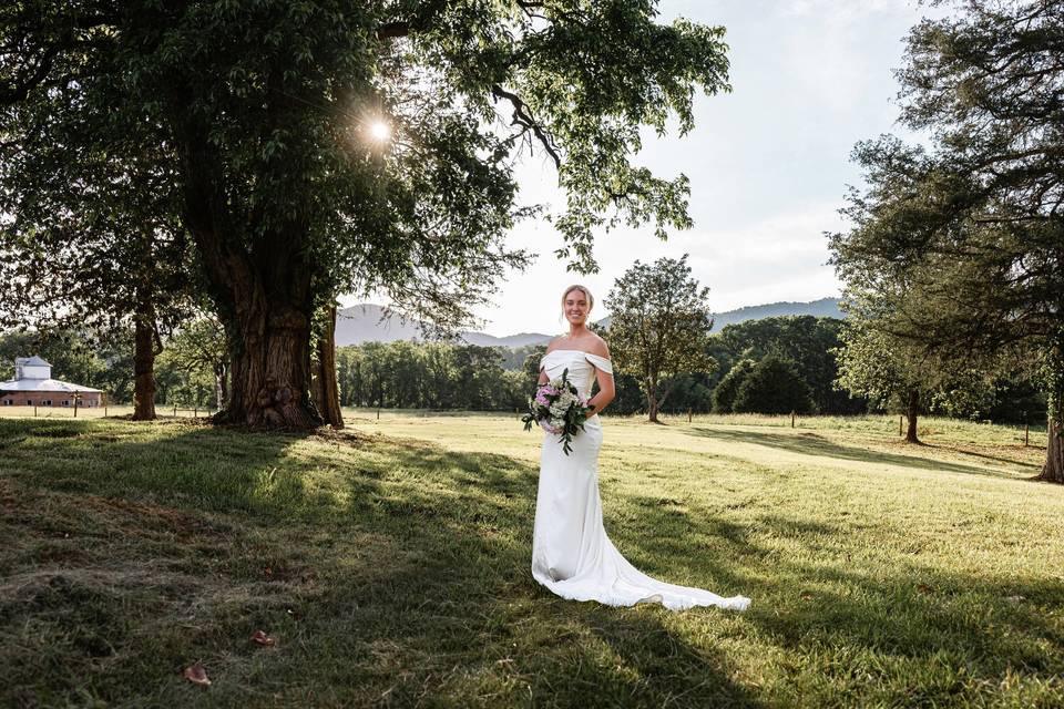 The Gilded Vale at Clover Hill