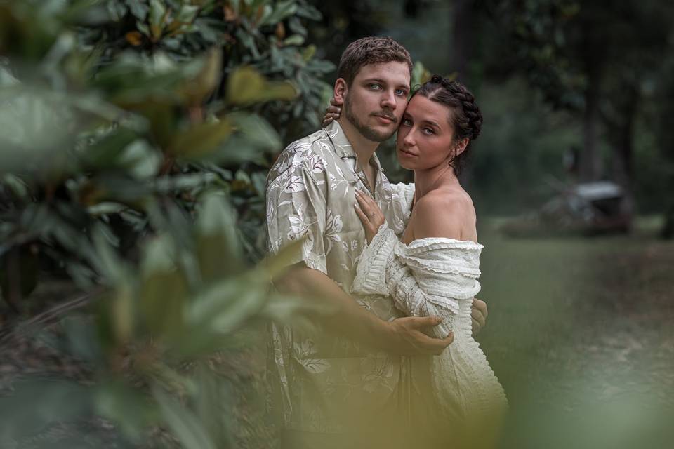 The Gilded Vale at Clover Hill
