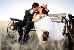 AMOR, Amazing Marriages Of Radiance