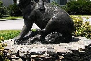 Black Bear Inn and Conference Center