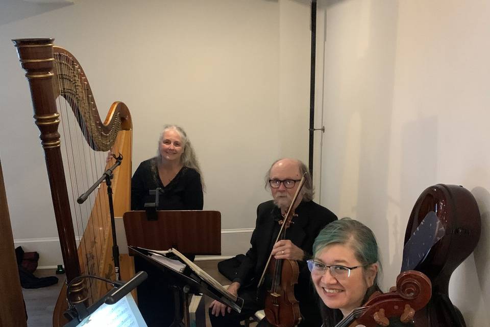 Harp/violin/cello trio