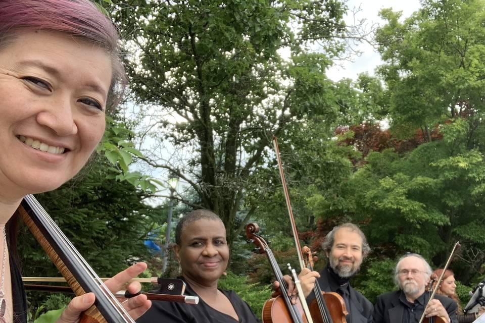 Harp/violin/cello trio