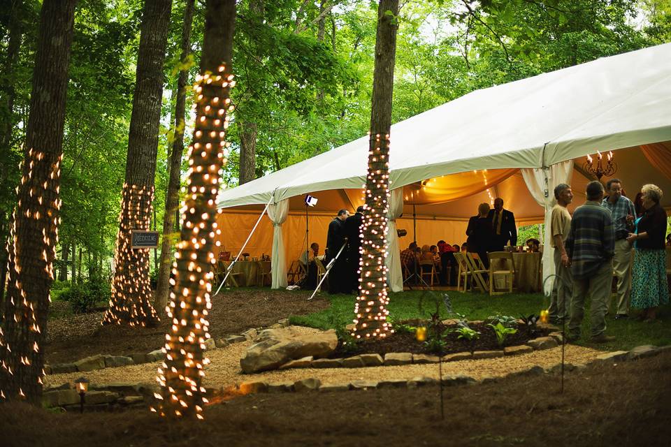 Reception tent and lighting
Photo courtesy of Elle Michelle Photography