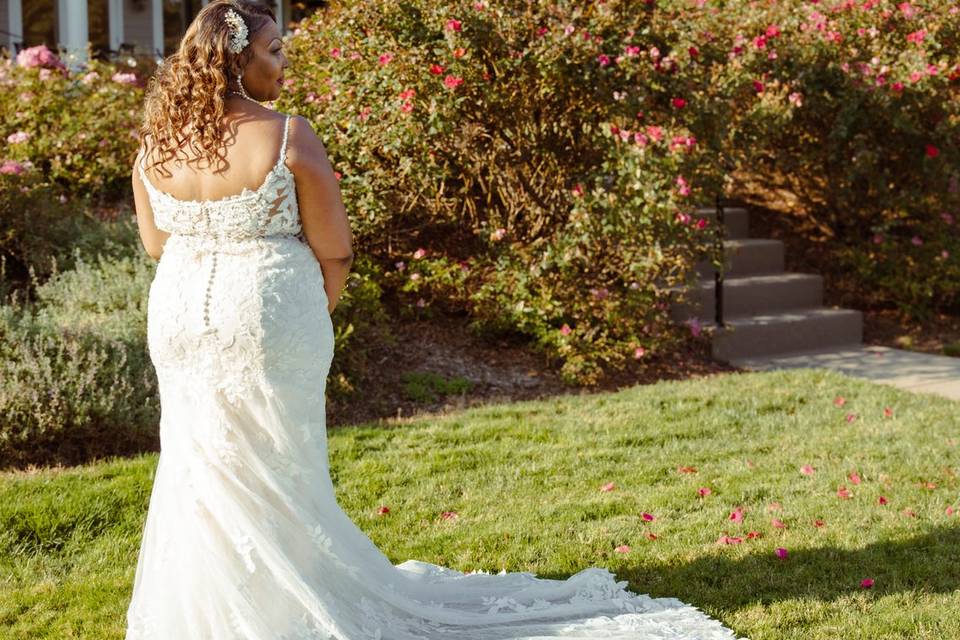 Wedding 2024
