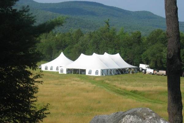 Wedding Century Tent 60x100