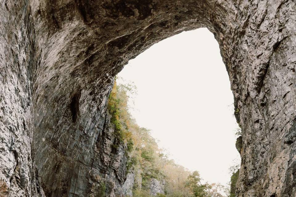 Natural Bridge Backdrop!