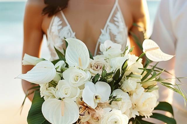 Soft, elegant beauty