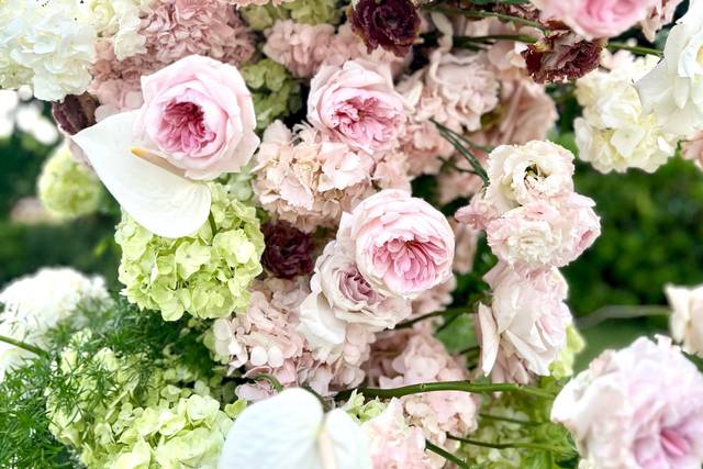 Refined floral moments