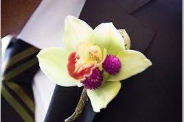 Simply Wed