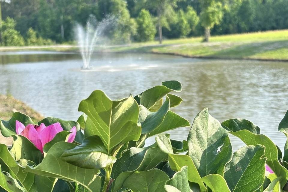 Fountain