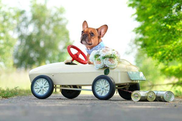 Wedding couple