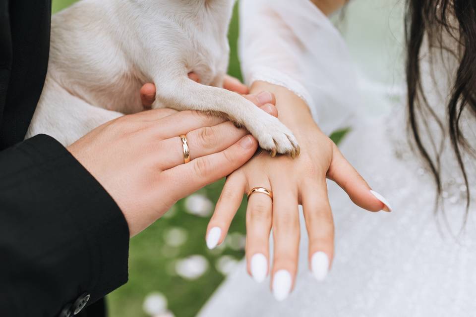 Paws