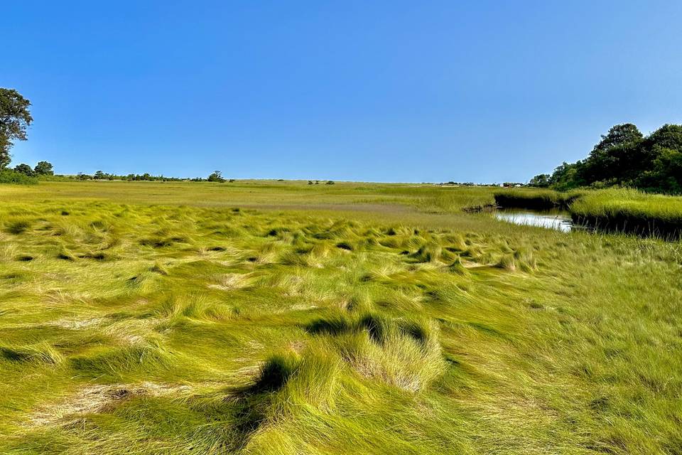 Cape Cod