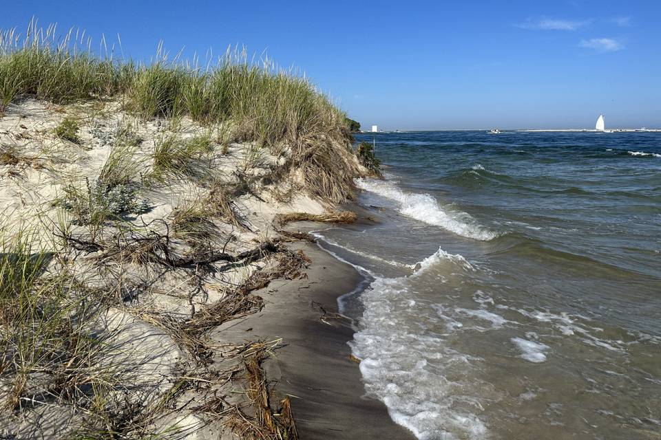 Cape Cod