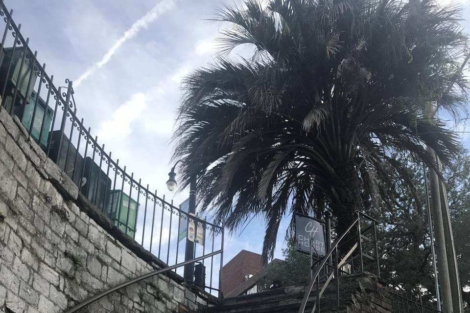 Savannah