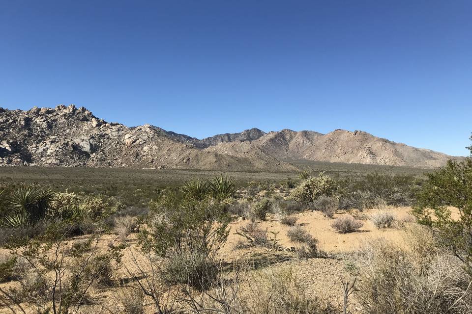 Mojave Desert