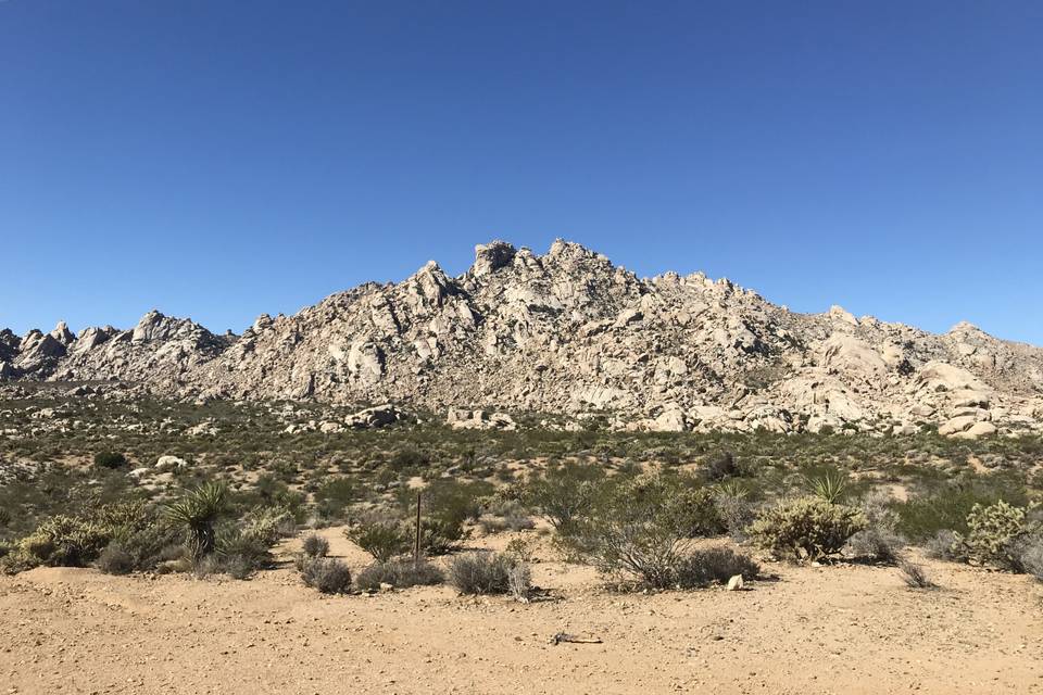 Mojave Desert