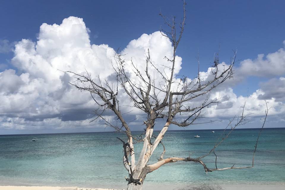 Grand Turk