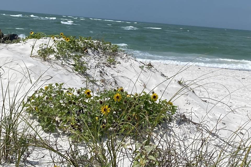 Madeira Beach FL
