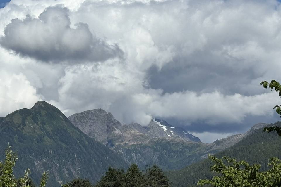Cruise to Alaska