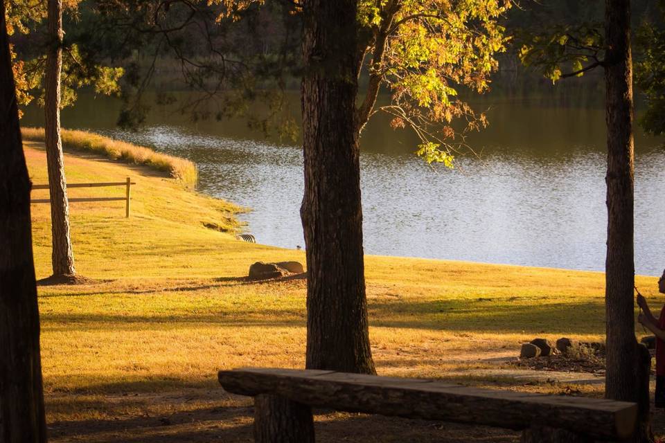 Carver Lake Venue