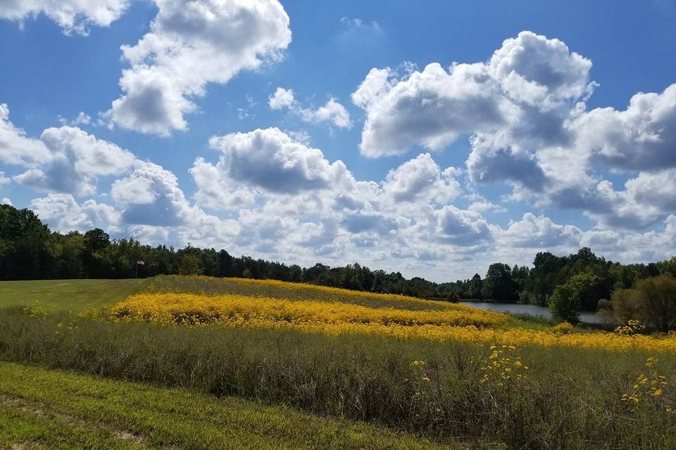 Carver Lake Venue