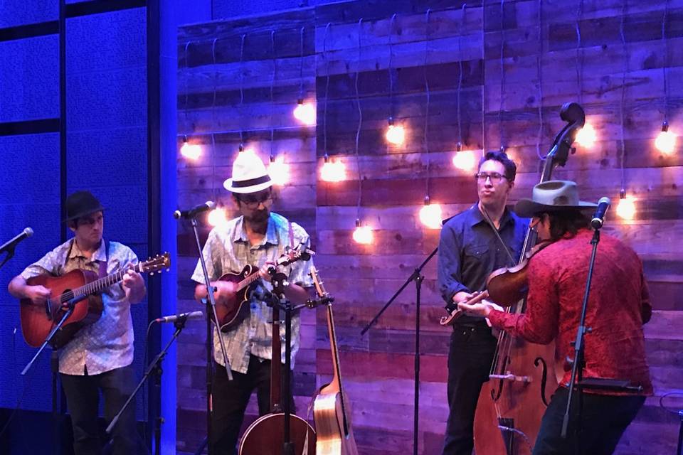 Leander Bluegrass Festival performance