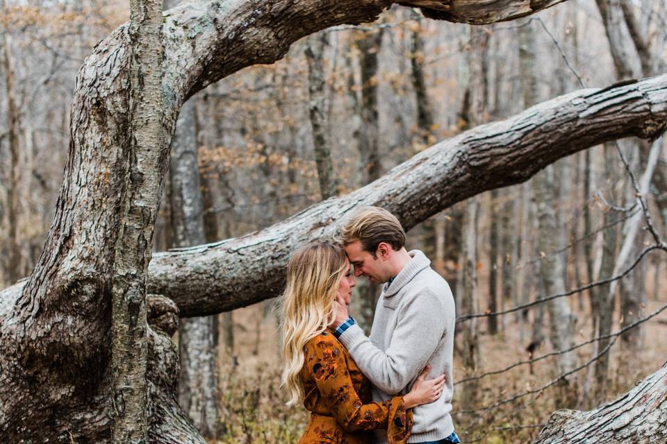 Forest Engagement