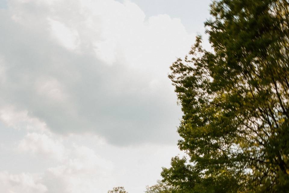 Motion portraits