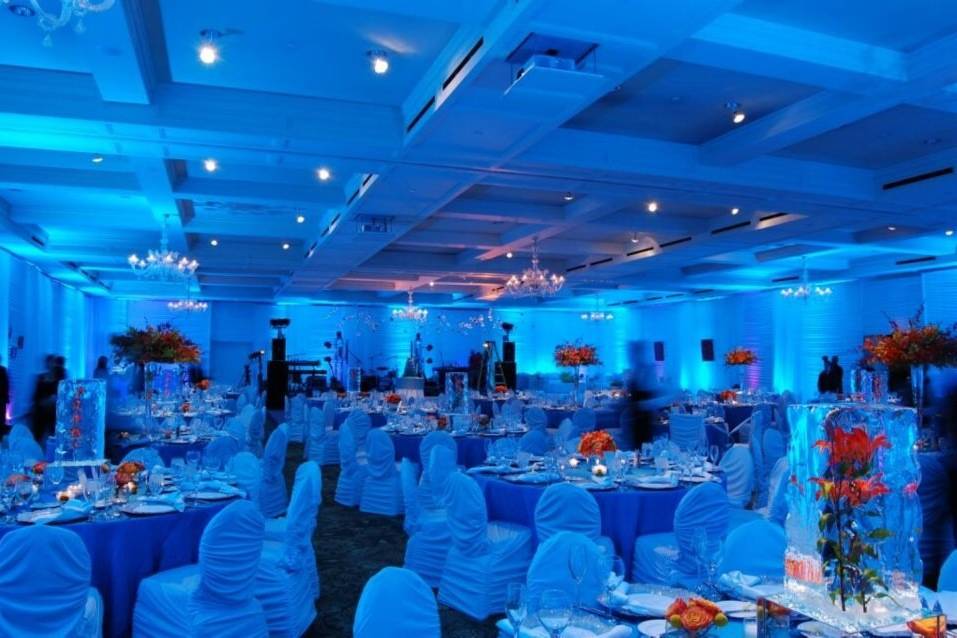 Reception setup