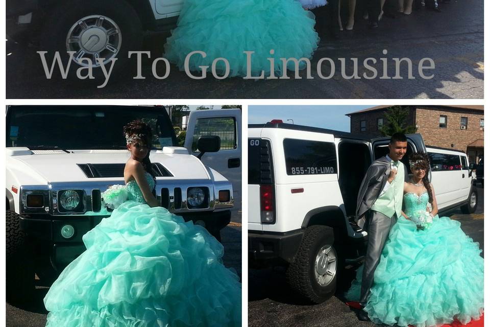 Way To Go Limousine, Inc.