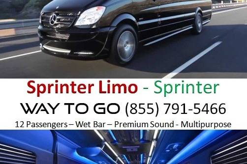 Way To Go Limousine, Inc.