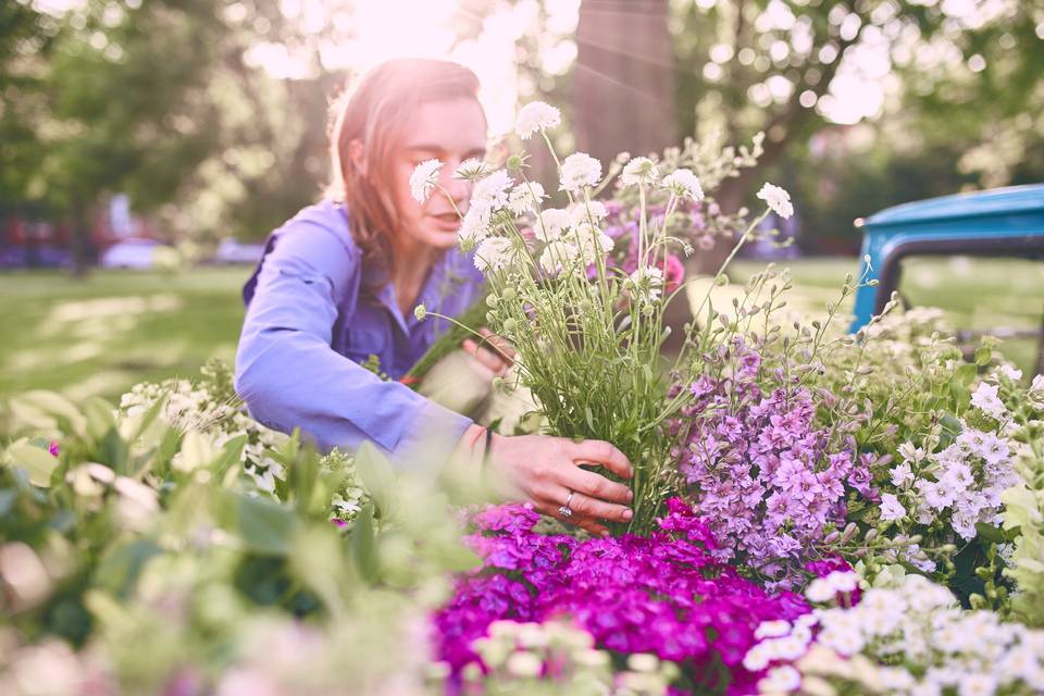 Spring flowers