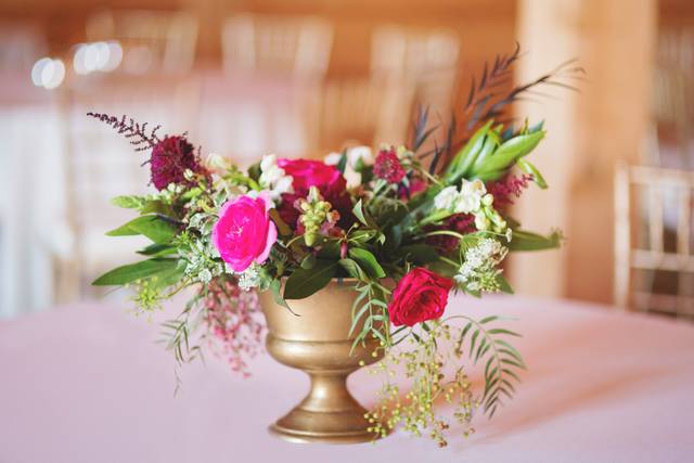 Chandi Michelle Photography