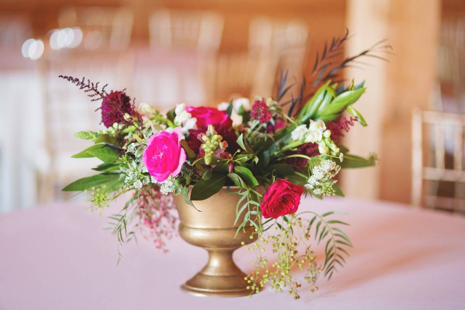Chandi Michelle Photography