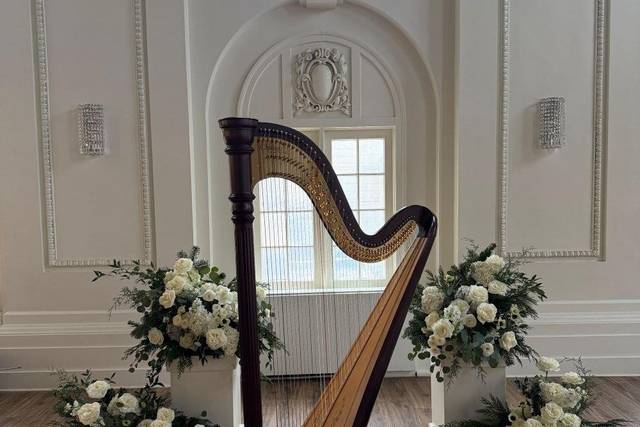 Utah Harpist