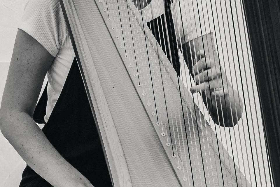 Merinda - Utah Harpist