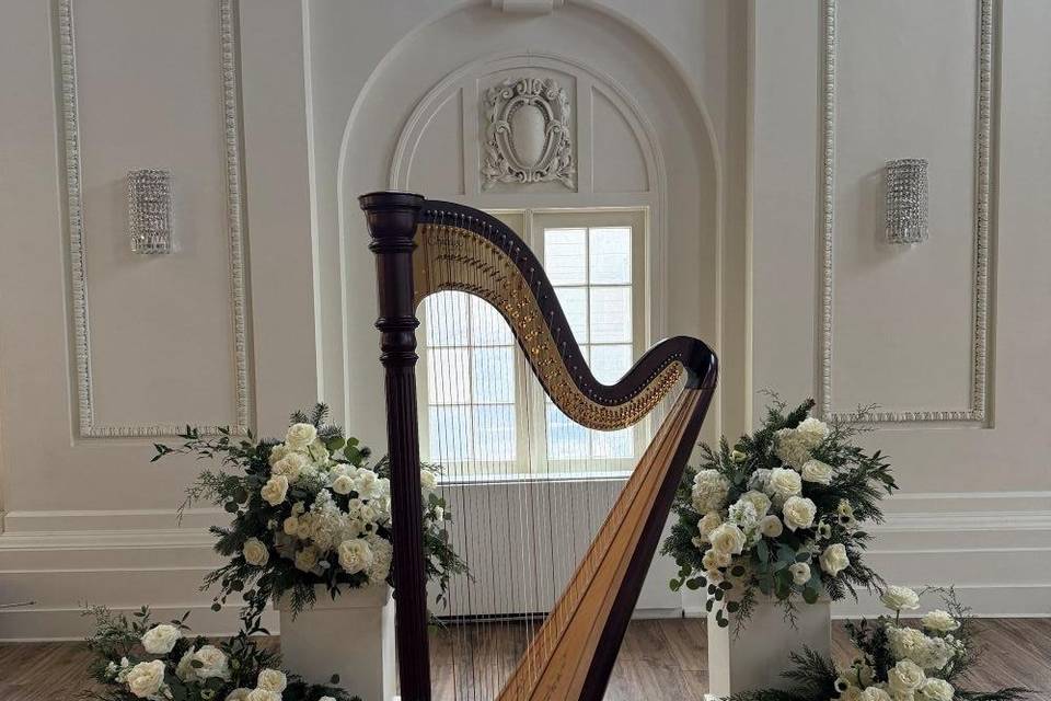 Utah Harpist