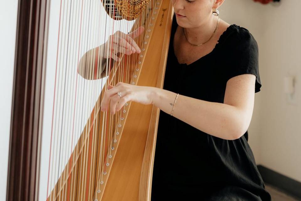 Utah Harpist